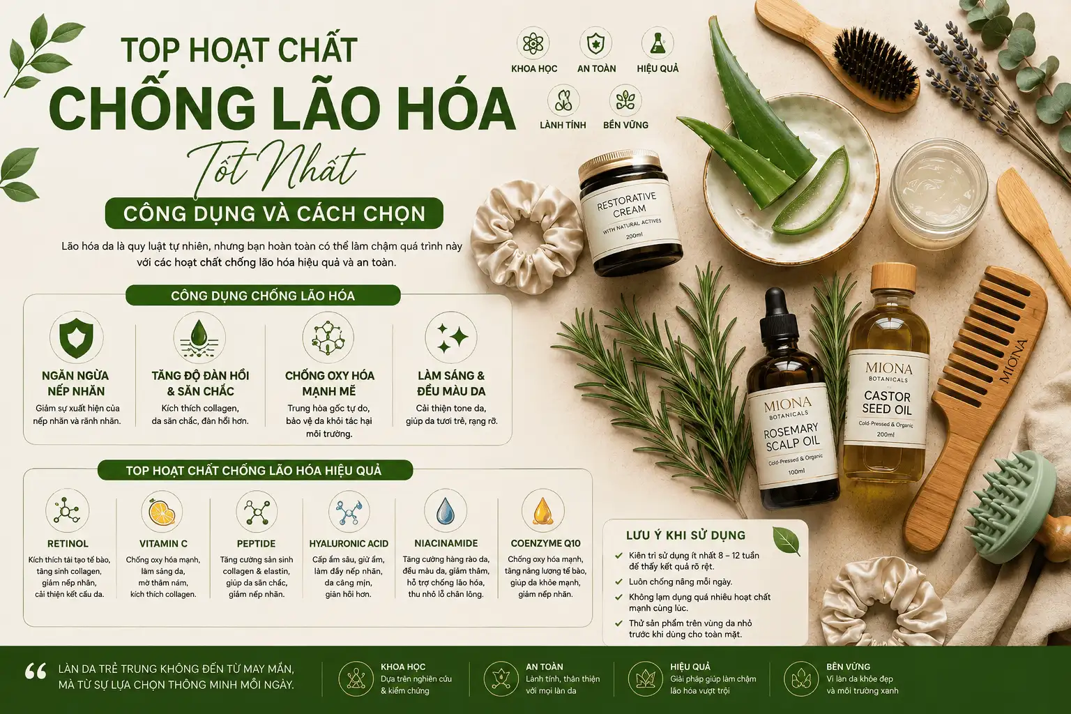 top hoạt chất chống lão hóa